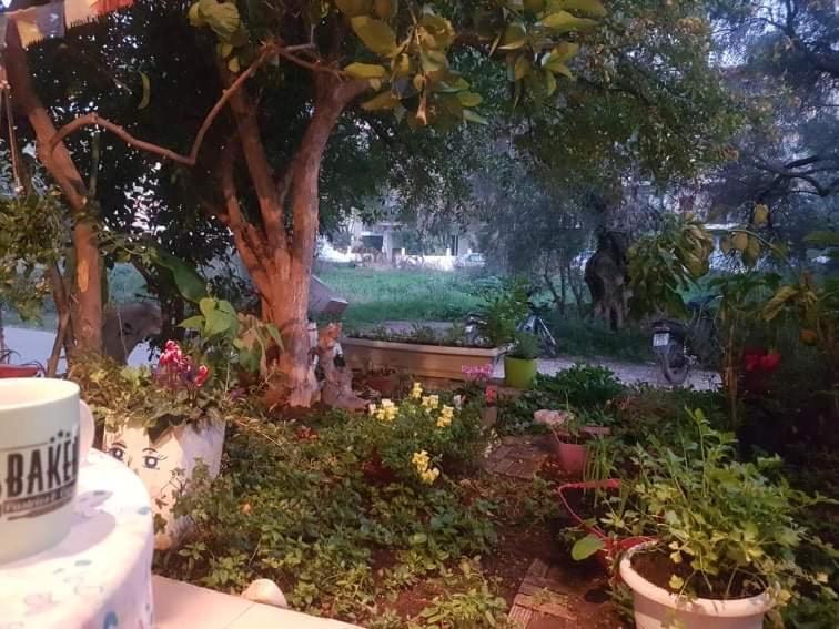 Efi'S Studio Lefkáda المظهر الخارجي الصورة