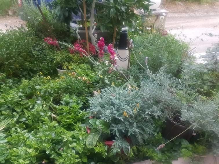 Efi'S Studio Lefkáda المظهر الخارجي الصورة
