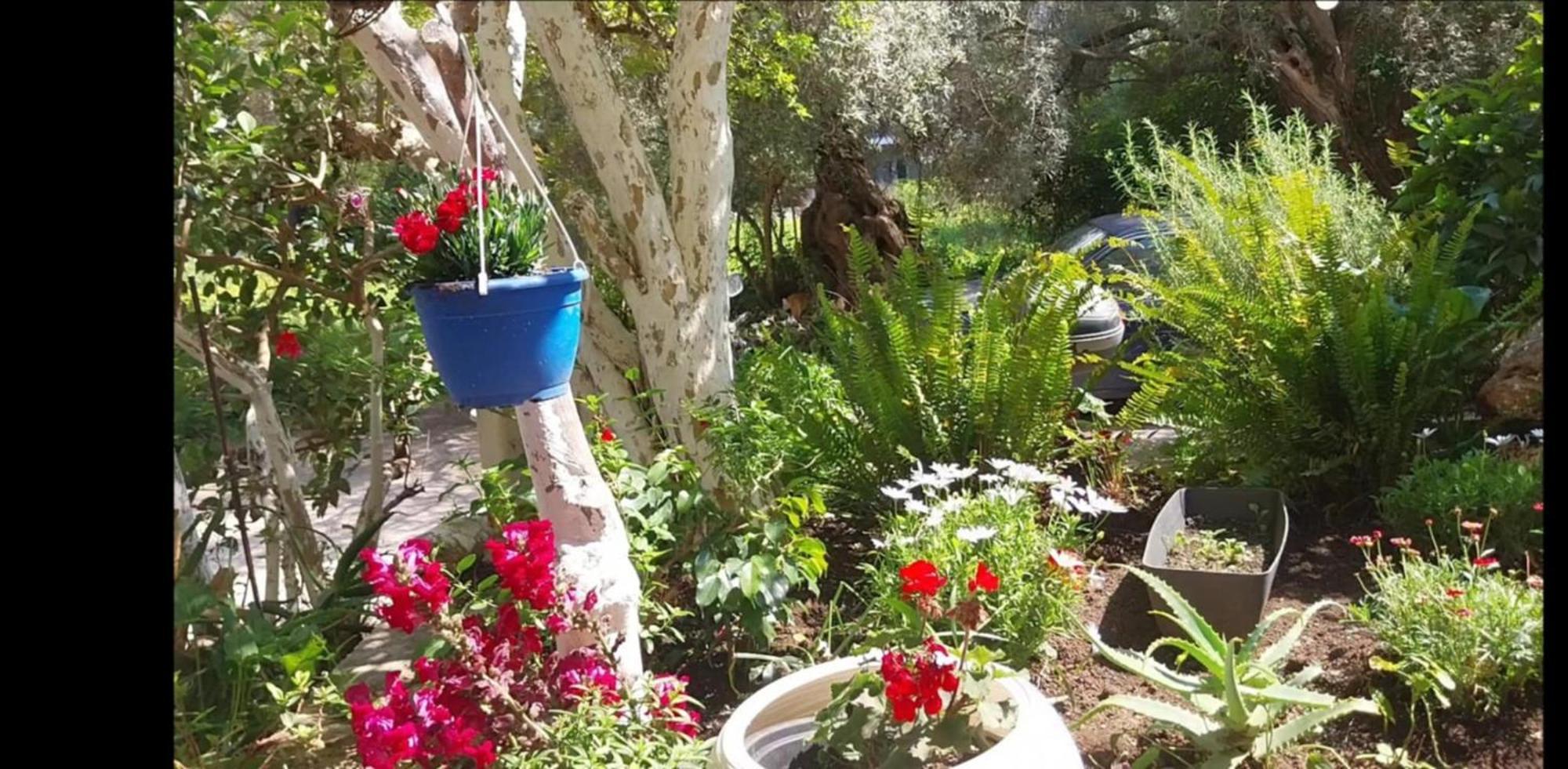 Efi'S Studio Lefkáda المظهر الخارجي الصورة