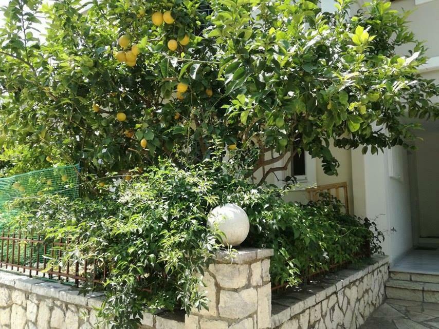 Efi'S Studio Lefkáda المظهر الخارجي الصورة