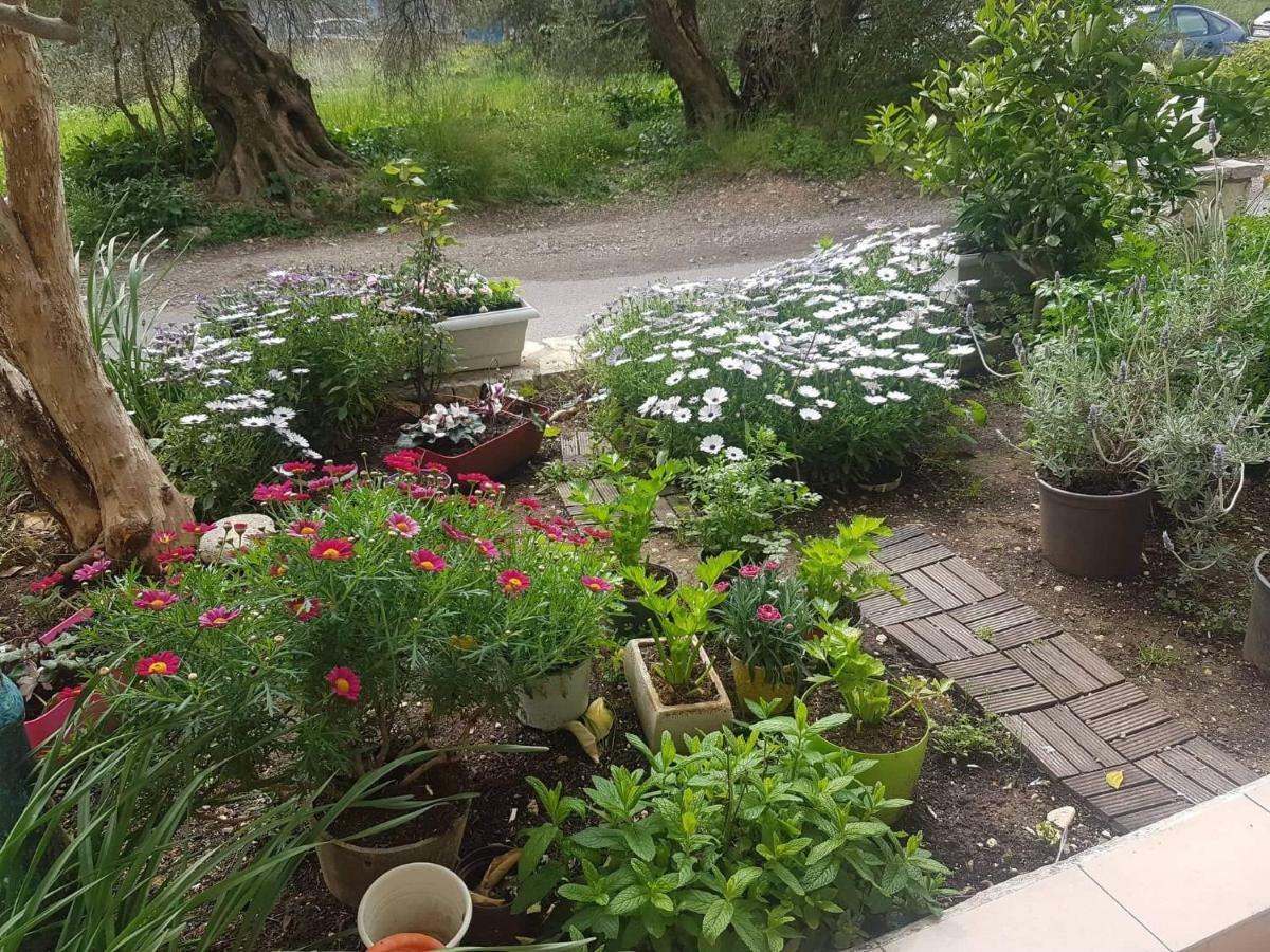 Efi'S Studio Lefkáda المظهر الخارجي الصورة